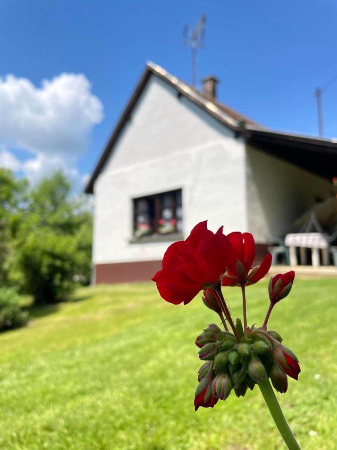 Ildiko Vendeghaz Holiday home Magyarszombatfa
