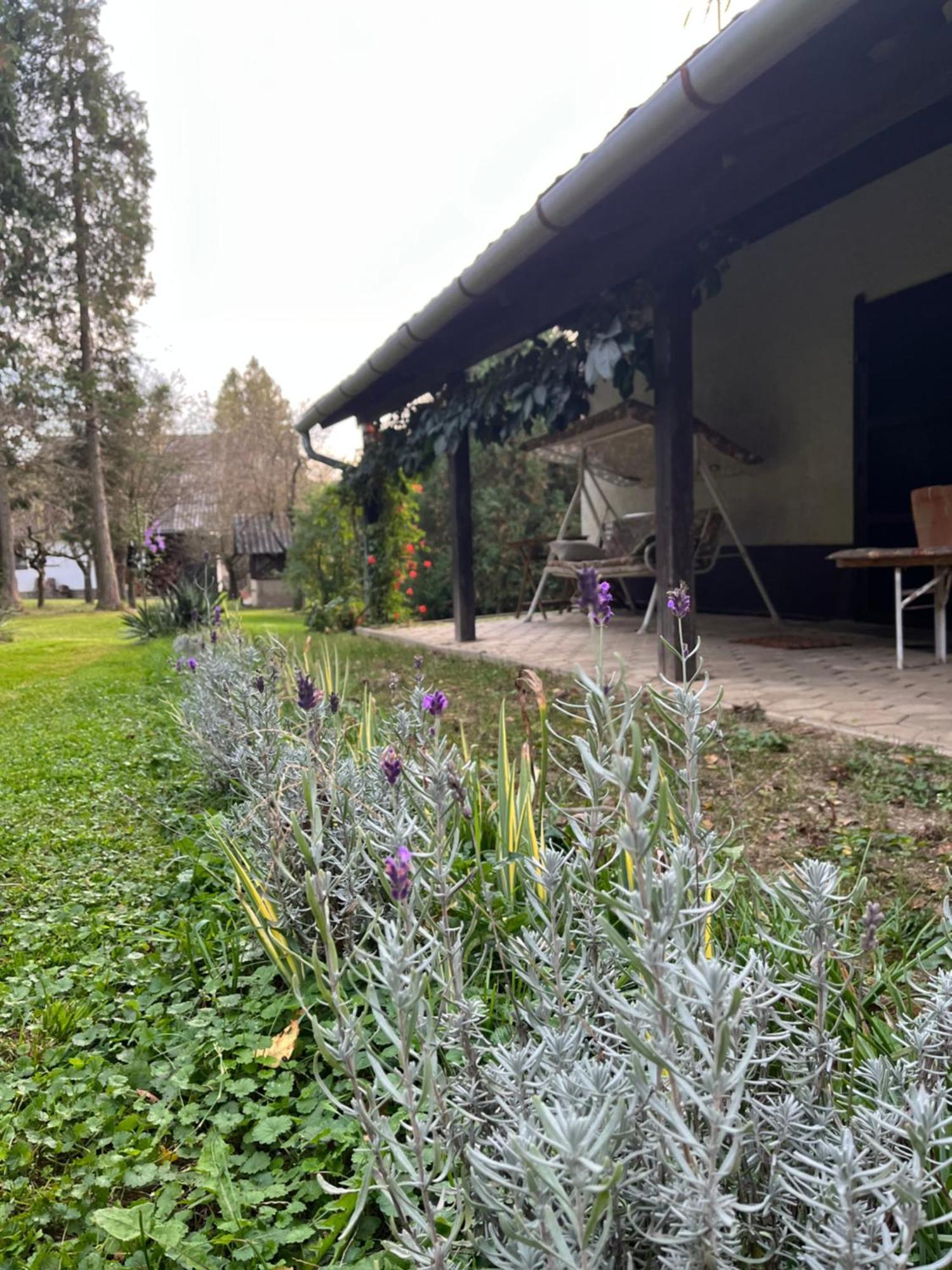 Ildiko Vendeghaz Holiday home Magyarszombatfa